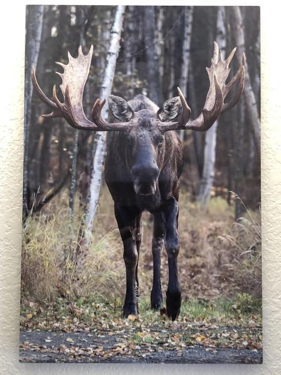 安克拉治The Moose Crossing公寓 外观 照片